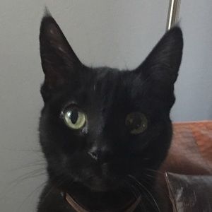 Meet your Posher, Jay